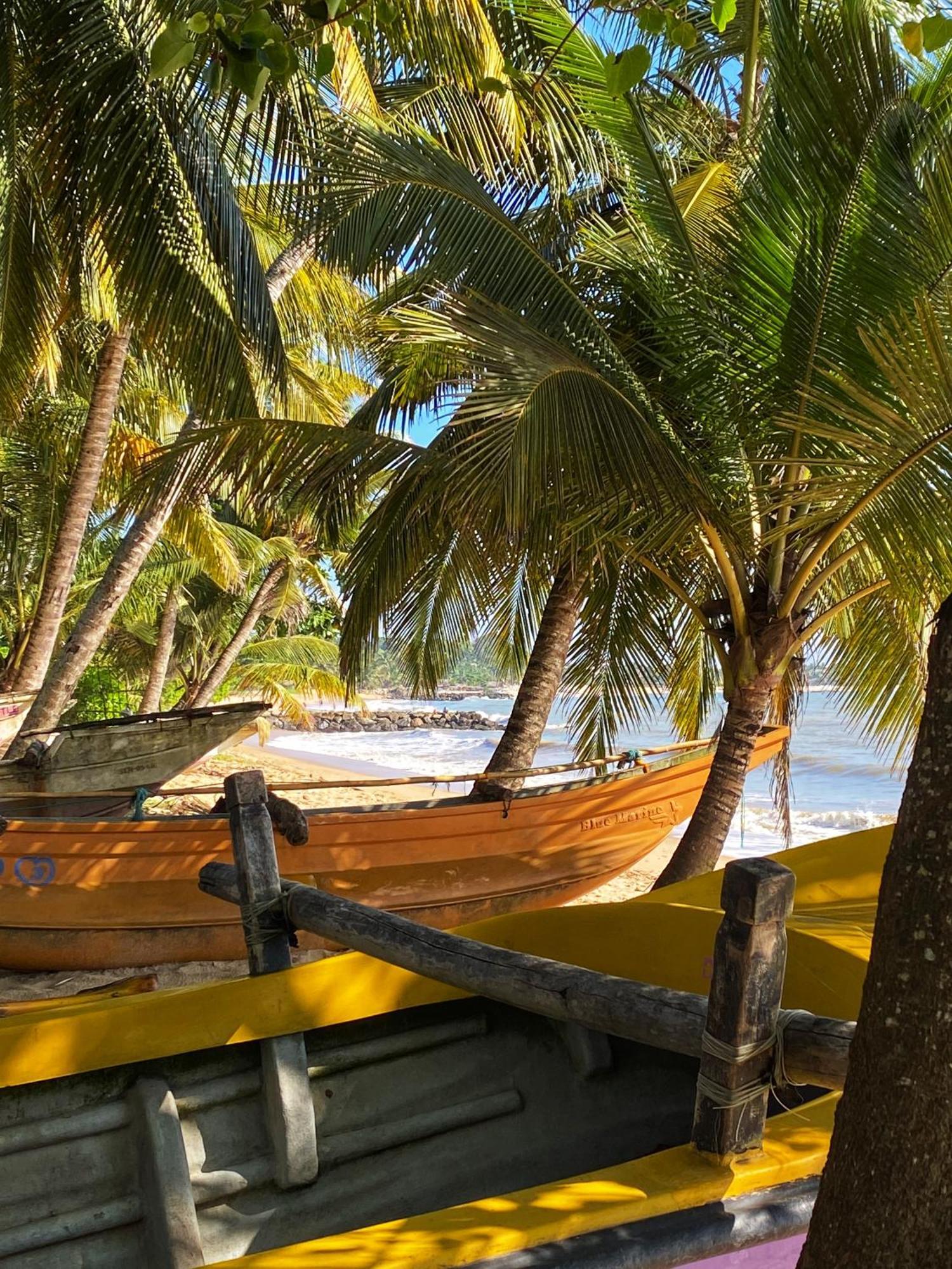 Lagoon Boutique Hotel Kanattagoda Exterior photo